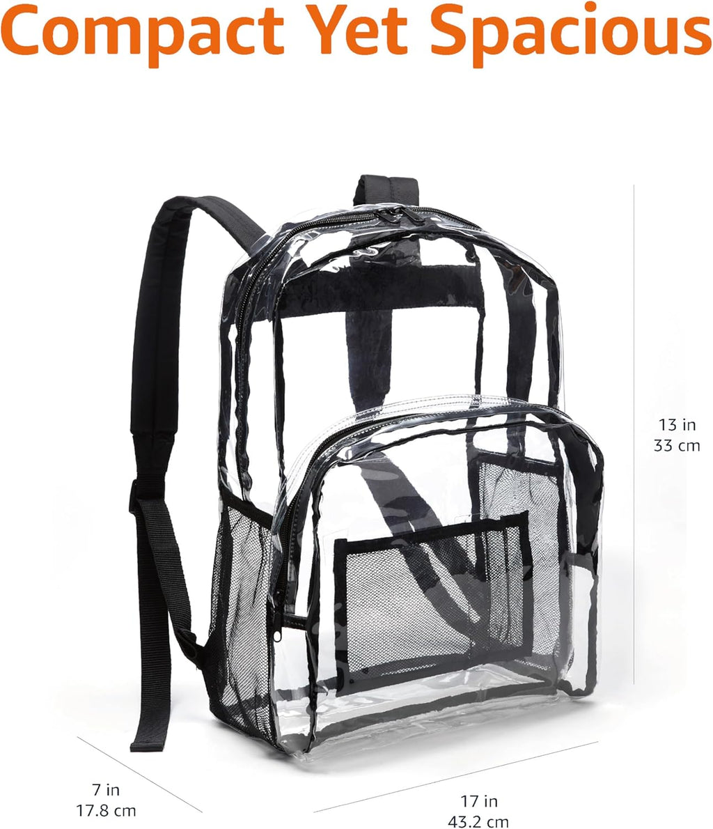 Transparent School Backpack